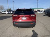Used 2020 Toyota RAV4 XLE image 4