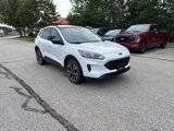 Used 2022 Ford Escape SE w/ SE Sport Appearance Package image 2
