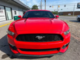 Used 2015 Ford Mustang Premium w/ Equipment Group 201A image 2
