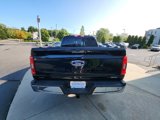 Used 2021 Ford F150 XLT w/ Equipment Group 302A High image 4
