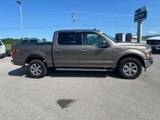 Certified 2019 Ford F150 XLT w/ Equipment Group 302A Luxury image 5
