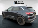 Used 2022 Ford Escape SE w/ Convenience Package image 5