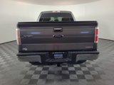 Used 2013 Ford F150 XLT w/ XLT Chrome Pkg image 4