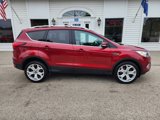 Used 2019 Ford Escape Titanium image 4