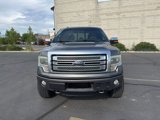 Used 2013 Ford F150 Platinum image 2