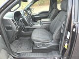Used 2019 Ford F150 XLT w/ Equipment Group 302A Luxury image 4