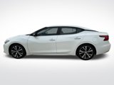 Used 2017 Nissan Maxima Platinum image 2