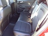 New 2024 Ford Escape ST-Line w/ Tech Pack #1 image 5