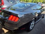 Used 2017 Ford Mustang Coupe w/ Enhanced Security Package image 3