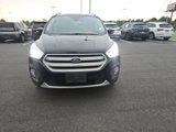 Used 2018 Ford Escape Titanium image 4