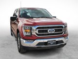 Used 2023 Ford F150 XLT w/ Equipment Group 302A High image 2