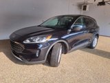 Used 2022 Ford Escape SE w/ Convenience Package image 2