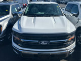 New 2025 Ford F150 XLT w/ Equipment Group 302A MID image 6