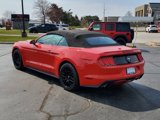 Used 2015 Ford Mustang Premium w/ 50 Years Appearance Package image 4