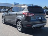 Used 2016 Ford Escape SE w/ Equipment Group 201A image 5