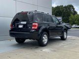 Used 2011 Ford Escape Limited w/ 301A Rapid Spec Order Code image 4