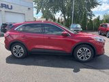 Used 2020 Ford Escape SEL image 4