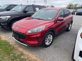 Used 2020 Ford Escape SE image 2