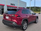 Used 2025 Toyota RAV4 XLE Premium image 5