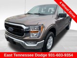 Used 2019 Ford F150 XLT w/ Equipment Group 301A Mid image 3