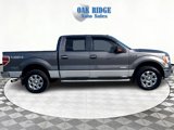 Used 2014 Ford F150 XLT w/ Equipment Group 302A Luxury image 4