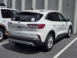 Used 2020 Ford Escape SE image 4
