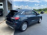 Used 2022 Ford Escape SE w/ Convenience Package image 3