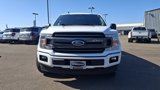 Used 2019 Ford F150 XLT w/ Equipment Group 302A Luxury image 6