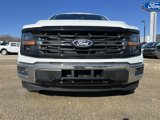 New 2025 Ford F150 XLT w/ Equipment Group 301A Standard image 3