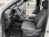 Used 2021 Ford F150 XLT w/ Equipment Group 301A Mid image 3