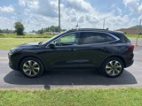 Used 2023 Ford Escape Platinum image 4