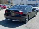 Certified 2019 Honda Insight Touring image 3