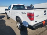 Used 2013 Ford F150 XL w/ XL Plus Pkg image 2