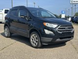 Used 2020 Ford EcoSport SE w/ SE Convenience Package image 2
