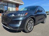 Certified 2022 Ford Escape SEL image 3