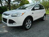 Used 2014 Ford Escape Titanium image 3