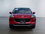 Used 2020 Ford Escape SE image 2