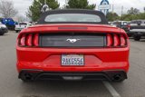 Used 2022 Ford Mustang Premium image 5