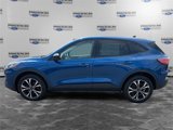 Used 2022 Ford Escape SE w/ SE Sport Appearance Package image 2