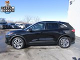Used 2022 Ford Escape SEL image 2
