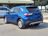 Used 2022 Ford Escape SE w/ Convenience Package image 3