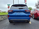 Used 2023 Ford Escape ST-Line w/ Tech Pack #1 image 6