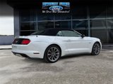 Used 2015 Ford Mustang GT Premium w/ Equipment Group 401A image 5