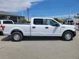 Used 2016 Ford F150 XL w/ Equipment Group 101A Mid image 3