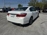 Used 2014 Honda Accord EX-L image 6