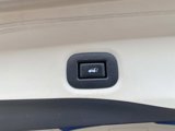 Used 2020 Nissan Rogue SV w/ Sun & Sound Touring Package image 6
