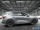 Used 2023 Ford Escape ST-Line Elite w/ Premium Technology Package image 6