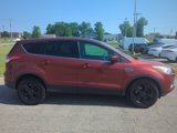 Used 2014 Ford Escape SE image 2