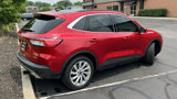 Used 2022 Ford Escape Titanium w/ Titanium Elite Package image 6