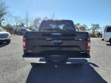 Used 2019 Ford F150 XLT w/ Equipment Group 301A Mid image 5